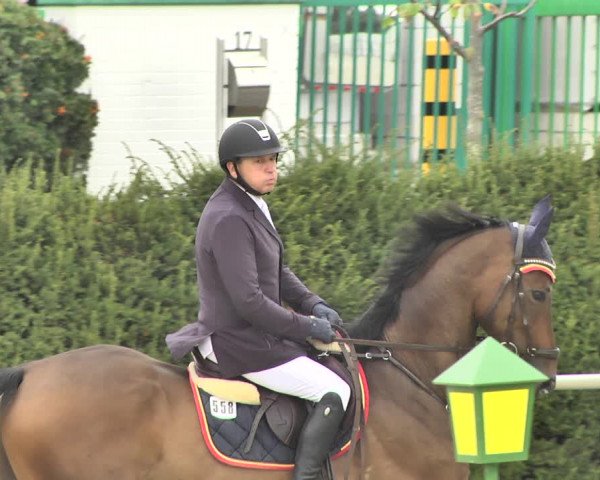 Reitturnier Durmersheim-Hardt 2018