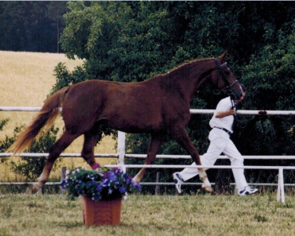 broodmare Party Girl 4 (Brandenburg, 2000, from Paradiesfalter)