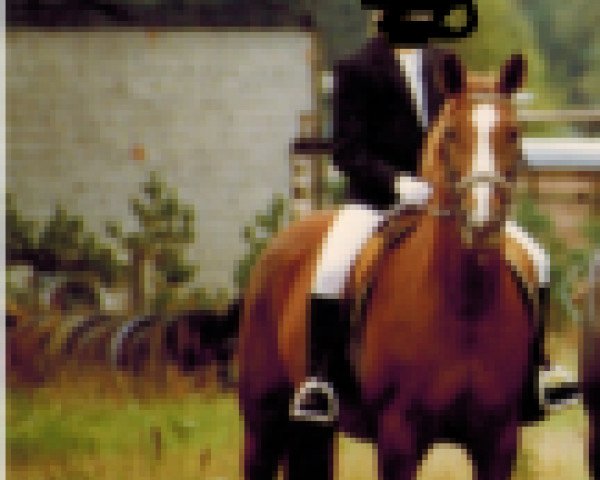 broodmare Glinka 23234 (Brandenburg, 1979, from Glanz)