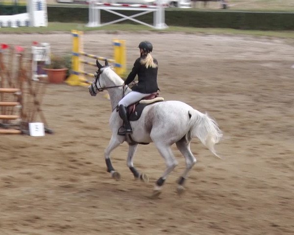 Reitturnier Jühnsdorf 2018