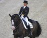 dressage horse Raffaldo (Danish Warmblood, 1998, from Come Back II)