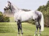 stallion Reliable Man xx (Thoroughbred, 2008, from Dalakhani xx)