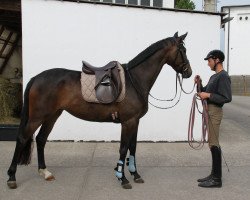 broodmare Lamilla (German Sport Horse, 2012, from E.H. Millennium)