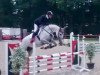 jumper Carissa 14 (Holsteiner, 2012, from Carrico)