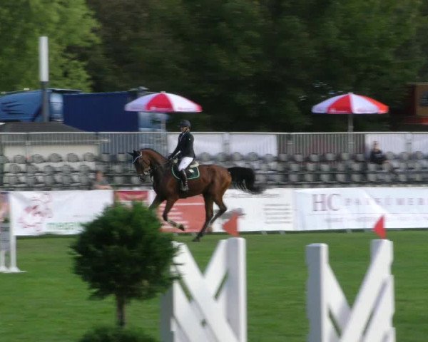 Reitturnier Aschersleben 2018