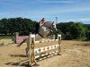 jumper Nagan 4 (Polish Warmblood, 2006)