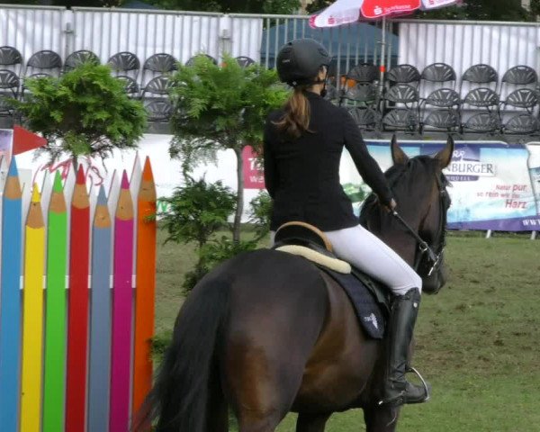 Reitturnier Aschersleben 2018