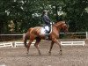 dressage horse Evita 250 (Zweibrücken, 2000, from Elan d' Espoir)