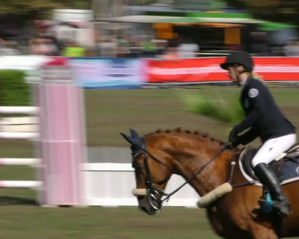 Reitturnier Aschersleben 2018
