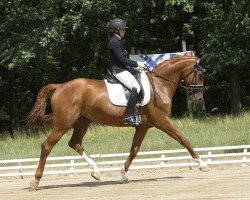 broodmare Peri-Quana (German Sport Horse, 2009, from Quaterback)