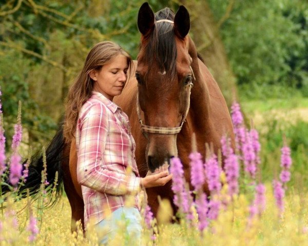 Pferd Ferrero (Trakehner, 2002, von Ravel)