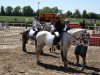 Dressurpferd Kienbergs Belmonte (Welsh Pony (Sek.B), 2009, von Breeton Bric)