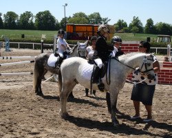 Dressurpferd Kienbergs Belmonte (Welsh Pony (Sek.B), 2009, von Breeton Bric)