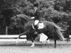 stallion Bonbon (German Riding Pony, 2012, from Beckenbauer)