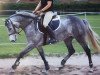 broodmare Amazing Grace 54 (Holsteiner, 2008, from Clinton H)