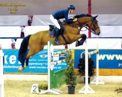 jumper Hank 19 (KWPN (Royal Dutch Sporthorse), 2006, from Vino)