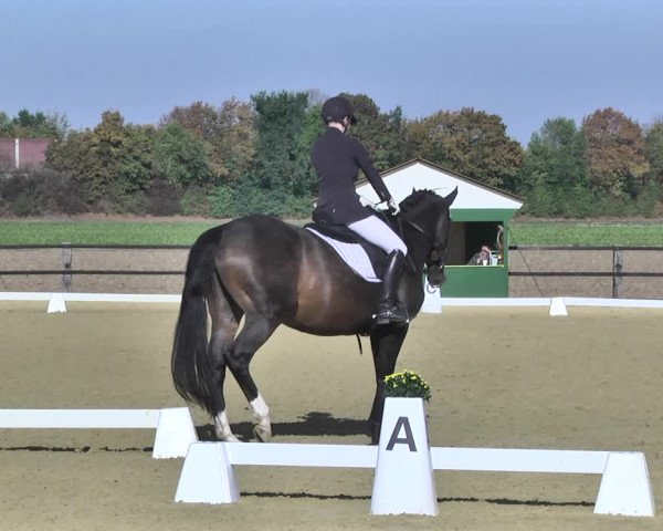 Mieler Reitkultur 2018