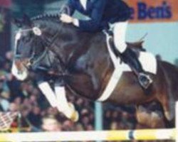 stallion Farian (Hanoverian, 1994, from Falkland)