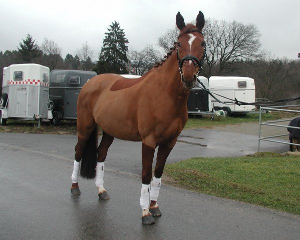 broodmare Reneklode (Oldenburg, 2003, from Relevant)