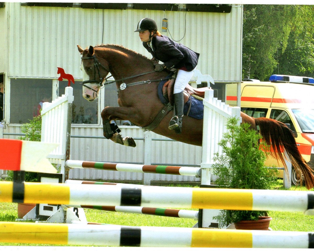 Zuchtstute Loxana L (Oldenburger, 2011, von Last Mans Hope)