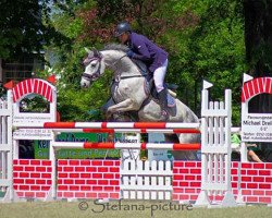 jumper Lolita 231 (German Sport Horse, 2010, from Lone Star)