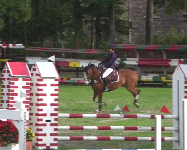 Reitturnier Würselen-Pley 2018