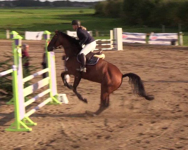 Reitturnier Looper Holz 2018