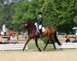 dressage horse Lord Leopold 9 (Hanoverian, 2006, from Lauries Crusador xx)