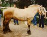 Deckhengst Fröjd 148 SWE (Fjordpferd, 1984, von Toddy I)