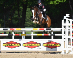 jumper Cookie 60 (German Riding Pony, 2007, from Do it Again)