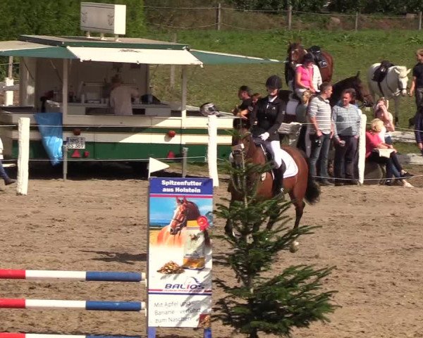 Reitturnier Looper Holz 2018