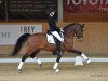 dressage horse Castenrayseweg's Lars (Nederlands Welsh Ridepony, 2002, from Leuns Veld's Lord)