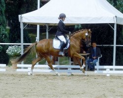 dressage horse SOLON's Magic Diva (German Riding Pony, 2010, from Don Johnson)