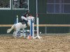 jumper Little Foot (Swedish Riding Pony,  )