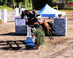 jumper Charlee 2 (Deutsches Sportpferd, 2010, from Chacito)