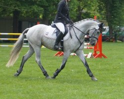 broodmare Jette (German Riding Pony, 2011, from Bon Jovi)