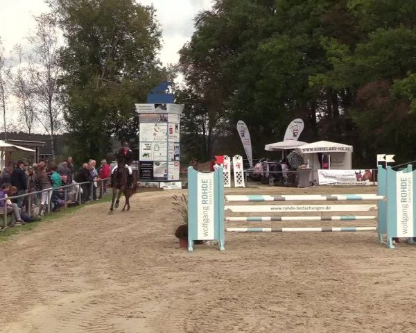 Reitturnier Meinerzhagen 2018