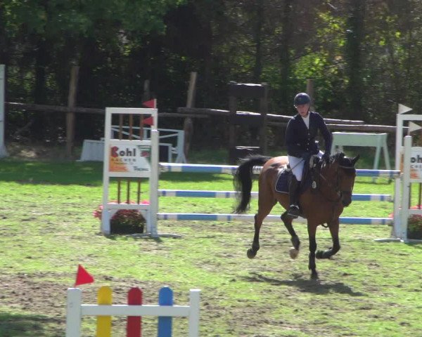 Reitturnier Würselen-Pley 2018