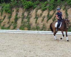 dressage horse Meine Perle (Deutsches Reitpony, 2011, from FS Pearcy Pearson)