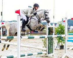 Zuchtstute Alisha Sr (Arabisches Halbblut / Partbred, 2011, von Al Ashar Ox)