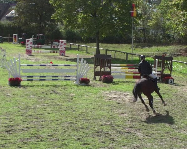 Reitturnier Würselen-Pley 2018