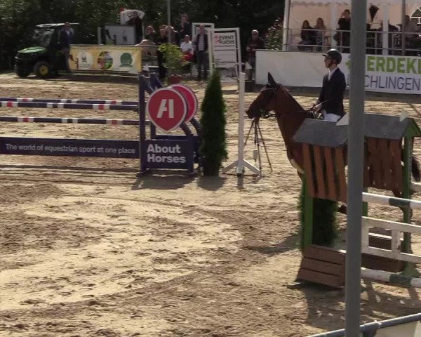 Witzheldener Reitertage 2018