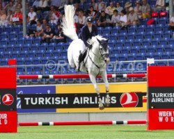 stallion Cloudbreak (Belgian Warmblood, 2004, from Heartbreaker)