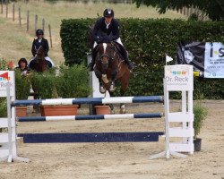 jumper Zplendid (Zangersheide riding horse, 2009, from Zannini R)