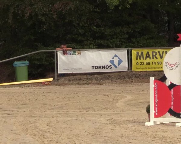 Reitturnier Meinerzhagen 2018
