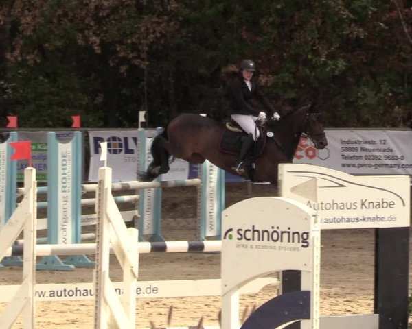 Reitturnier Meinerzhagen 2018