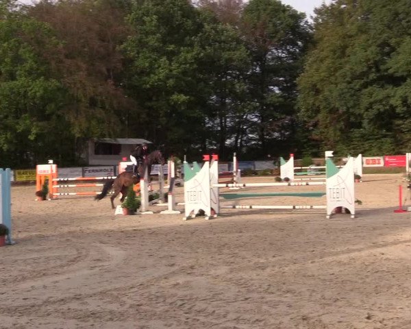 Reitturnier Meinerzhagen 2018