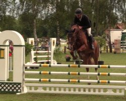 Springpferd Clueso 22 (Westfale, 2012, von Coupe d`Or)