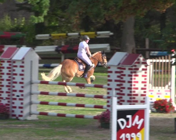 Reitturnier Würselen-Pley 2018