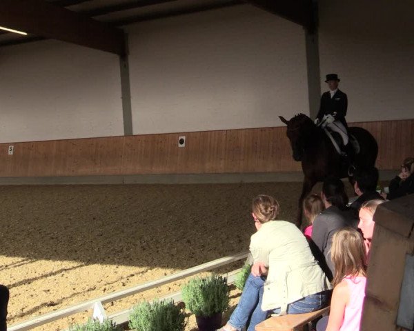 Reitturnier Gut Hohenkamp / Dorsten 2018